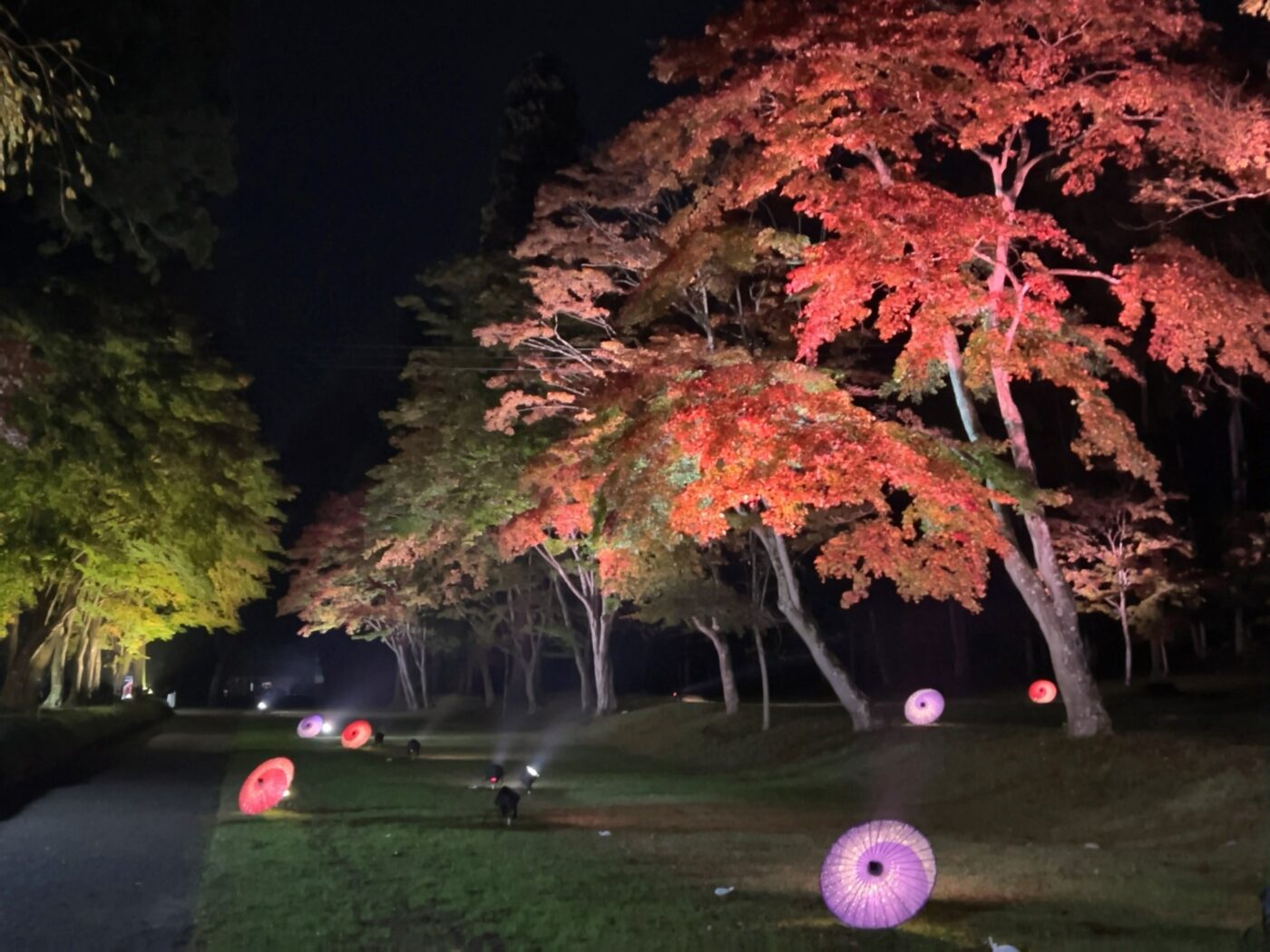 遠野郷八幡宮 紅葉ライトアップで赤く照らされた木々と、芝生の上の和傘